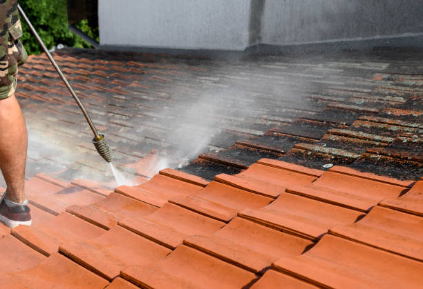 Best Concrete Pressure Washing  in Lden, MA
